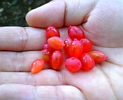 08-06 012.jpg