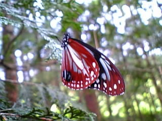 08-07 033.jpg
