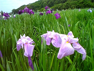 08-07 063.jpg