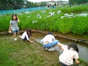 08-07 095.jpg