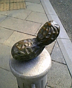 09-03 004.jpg