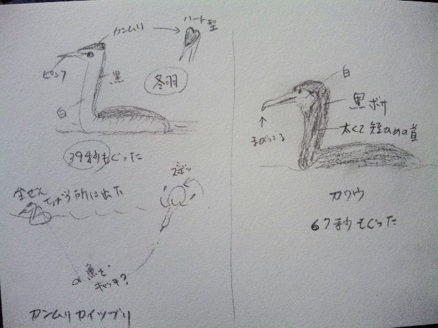 120310_161955_ed.JPG
