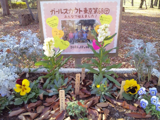 131205_114302 - コピー.jpg