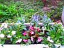 q 005.jpg