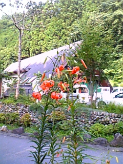 ĉ 033.jpg