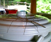 ĉ 071.jpg