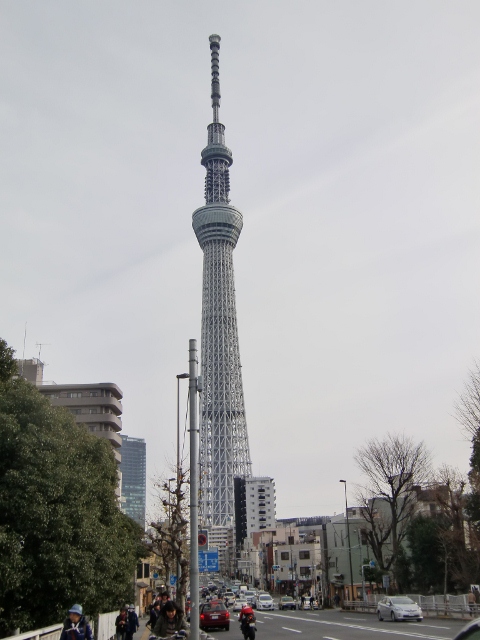CIMG4780 (480x640).jpg