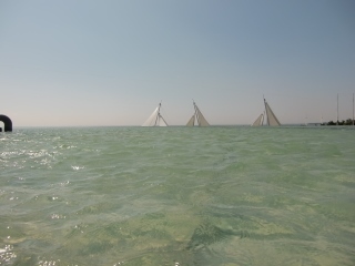 CIMG6424 (320x240).jpg