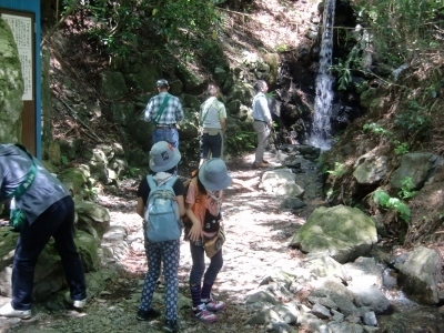 CIMG6735 (400x300).jpg