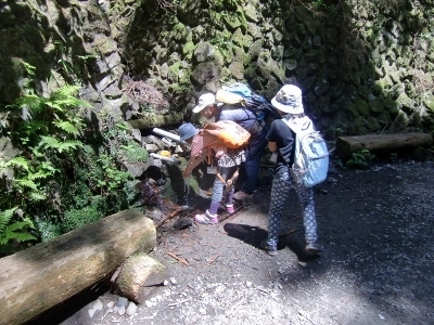 CIMG6740 (400x300).jpg