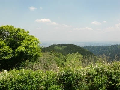CIMG6749 (400x300).jpg