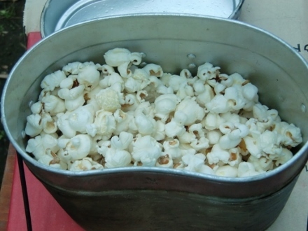 CIMG7064 (440x330).jpg