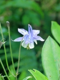 CIMG7085 (210x280).jpg