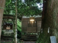 CIMG7114 (200x150).jpg