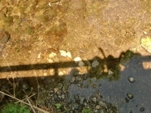 CIMG7128 (220x165).jpg