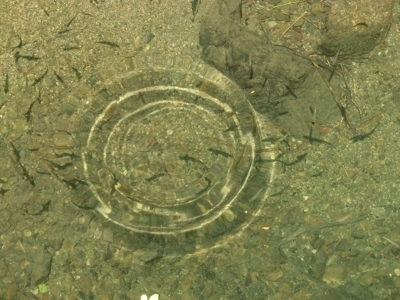 CIMG7130 (400x300).jpg