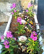 gs07 204.jpg