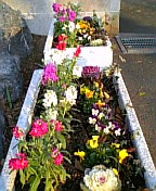 gs07 207.jpg