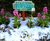 gs07 213.jpg