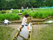 gs08-06 023.jpg