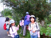 gs08-06 076.jpg
