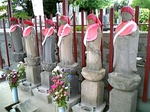 gs08-06 082.jpg