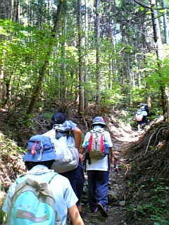 gs08-08 014.jpg