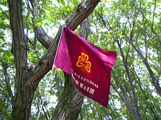 gs08-08 035.jpg