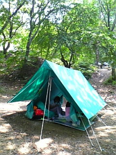 gs08-08 036.jpg