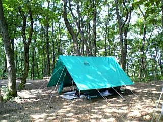 gs08-08 037.jpg