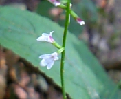 gs08-08 039.jpg