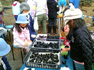 gs09-01 001.jpg