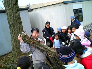 gs09-01 010.jpg