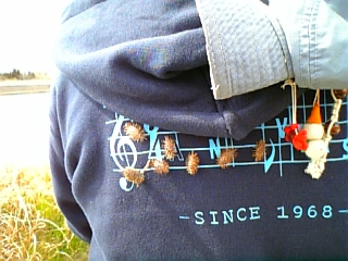 gs09-03 014.jpg
