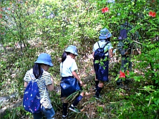gs09-04 008.jpg