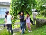 gs09-06 008.jpg