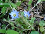 gs09-06 010.jpg