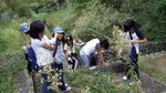 gs09-09 054.jpg