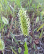 gs09-09 064.jpg