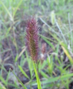 gs09-09 065.jpg