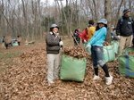 gs11-01 052.jpg