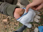 gs11-01 059.jpg