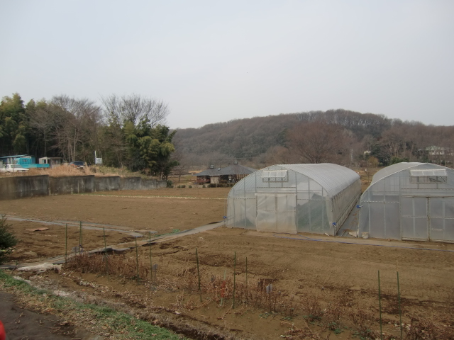gs11-01 064.jpg