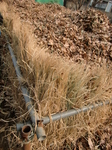 gs11-01 065.jpg