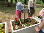 gs11-05 024.jpg