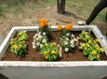 gs11-05 025.jpg