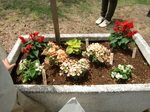 gs11-05 026.jpg
