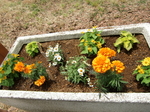 gs11-05 028.jpg