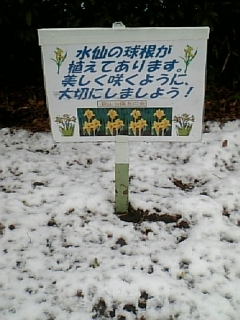 tomonokai.JPG
