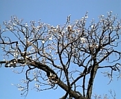 yusima3.JPG